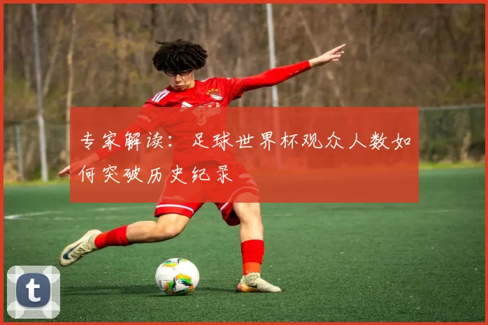 专家解读:足球世界杯观众人数如何突破历史纪录