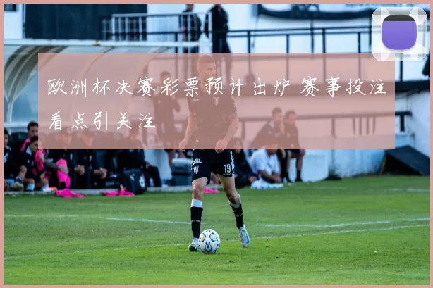 欧洲杯决赛彩票预计出炉 赛事投注看点引关注