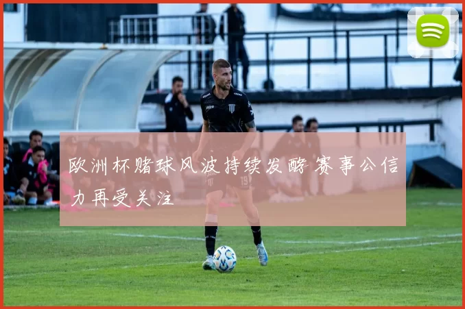 欧洲杯赌球风波持续发酵 赛事公信力再受关注