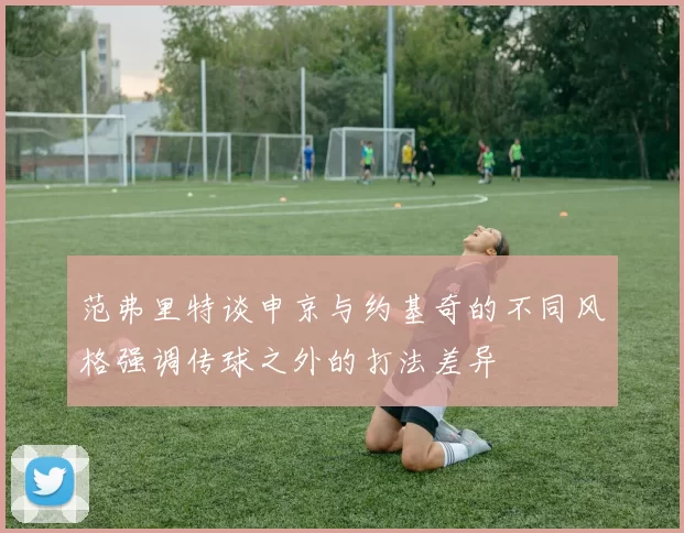 范弗里特谈申京与约基奇的不同风格强调传球之外的打法差异