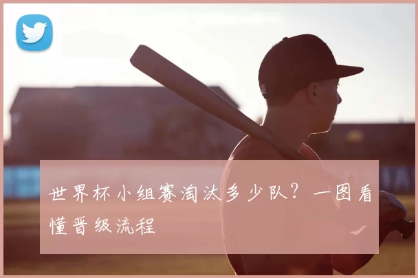 世界杯小组赛淘汰多少队?一图看懂晋级流程