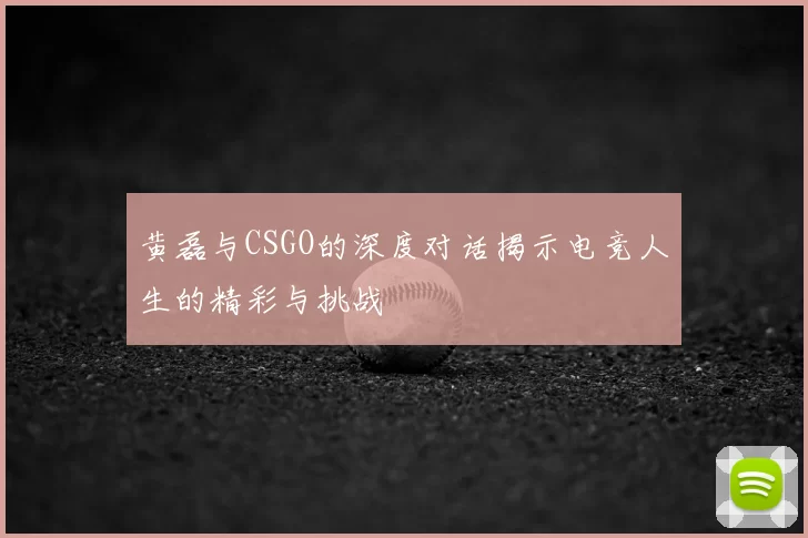 黄磊与CSGO的深度对话揭示电竞人生的精彩与挑战