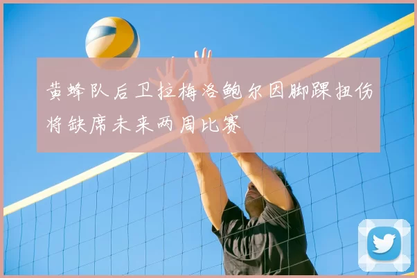 黄蜂队后卫拉梅洛鲍尔因脚踝扭伤将缺席未来两周比赛