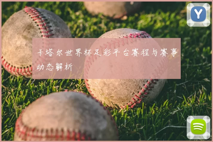 卡塔尔世界杯足彩平台赛程与赛事动态解析