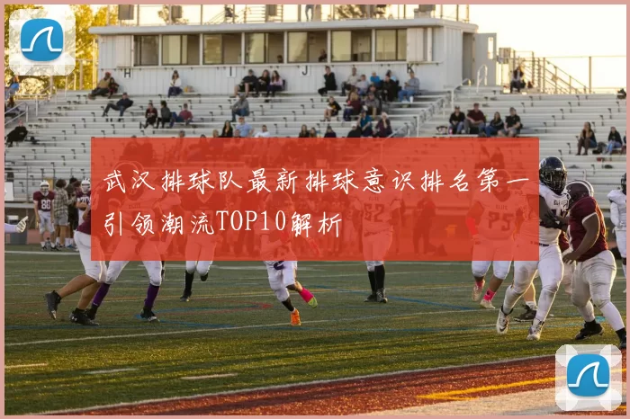 武汉排球队最新排球意识排名第一引领潮流TOP10解析