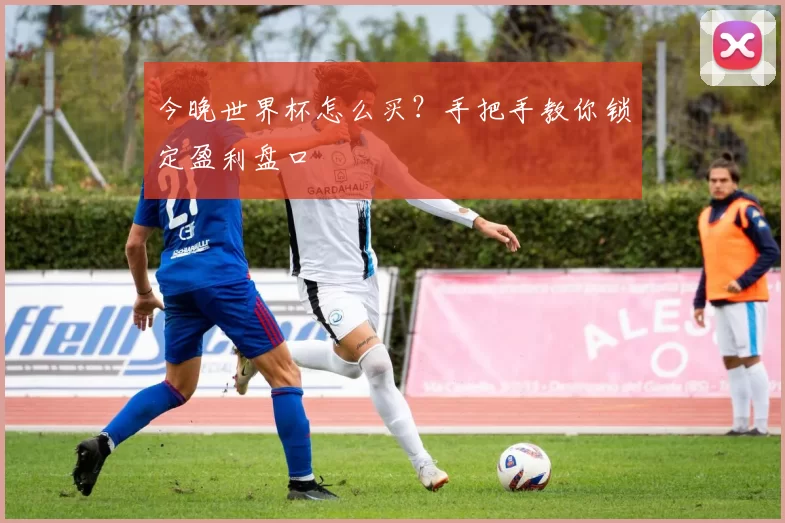 今晚世界杯怎么买？手把手教你锁定盈利盘口