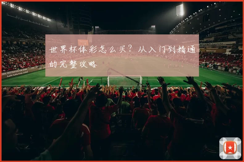 世界杯体彩怎么买?从入门到精通的完整攻略