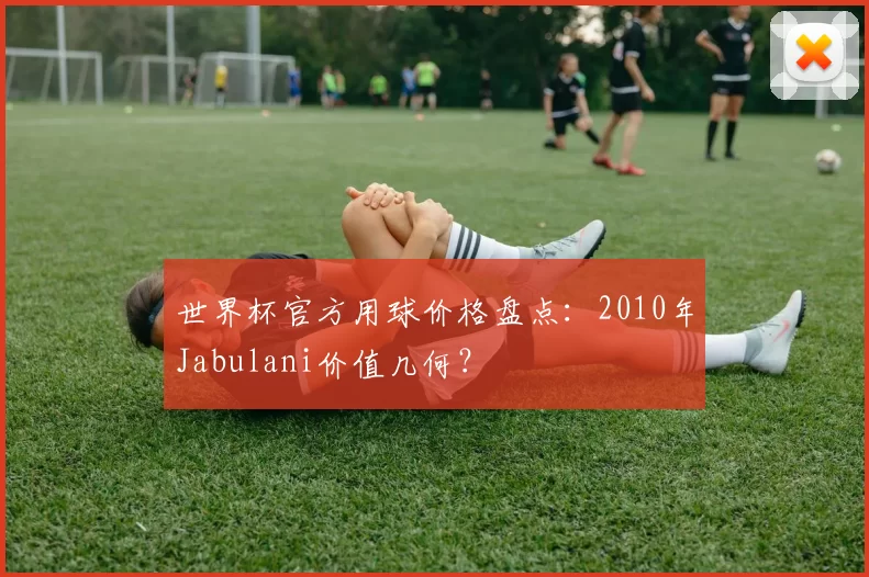 世界杯官方用球价格盘点:2010年Jabulani价值几何?